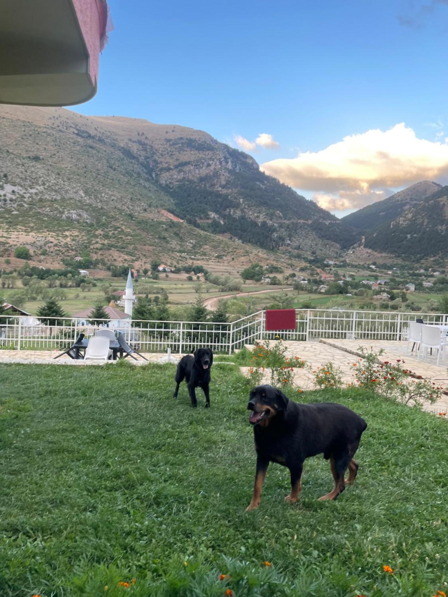 Lura Hotel Fushe-Lure Екстериор снимка